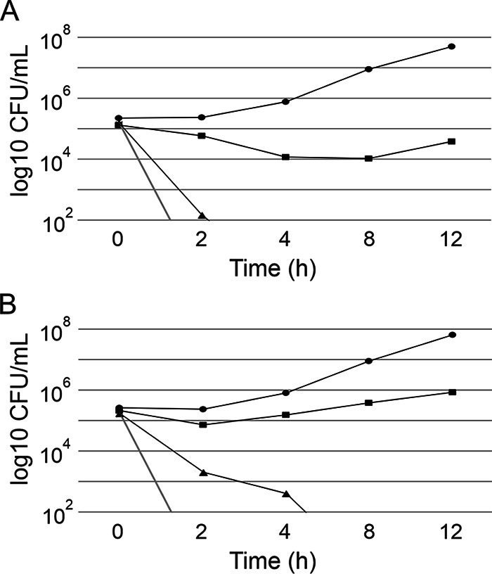 FIG 6