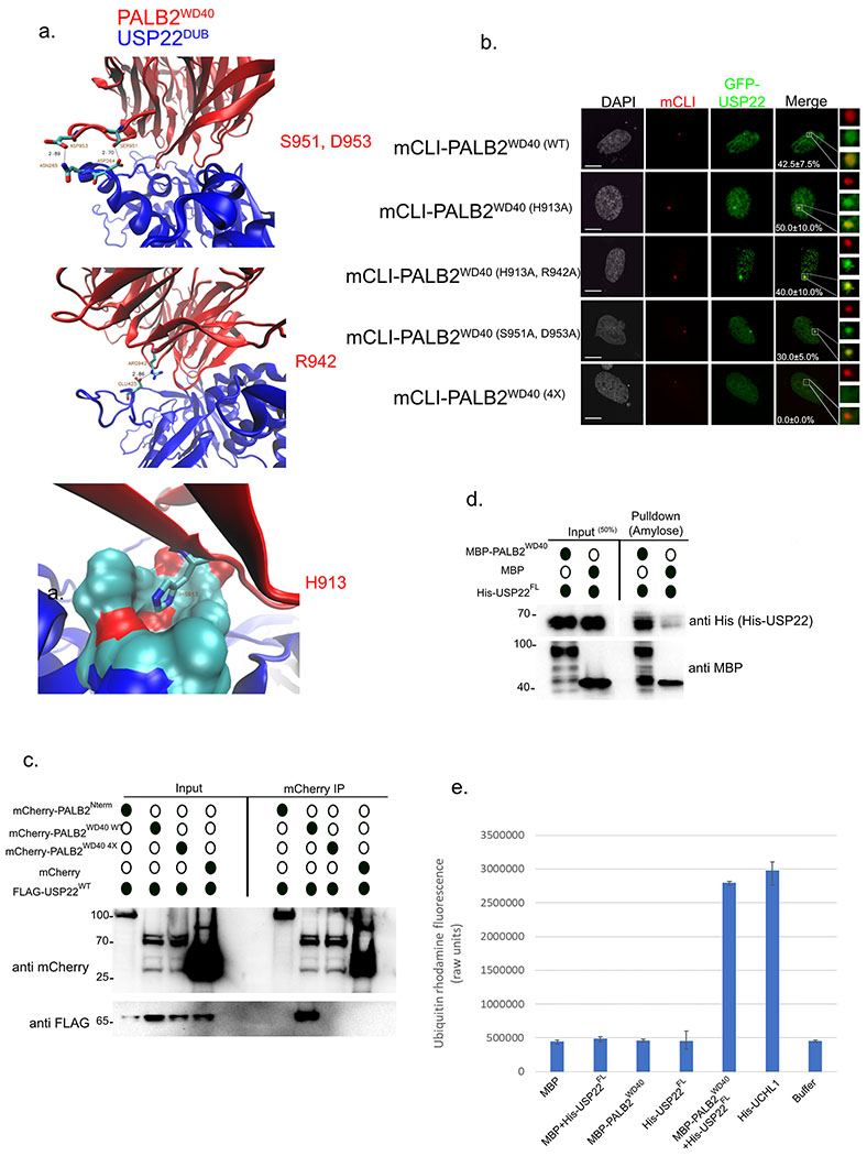 Figure 4: