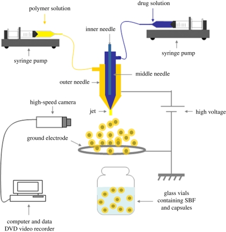 Figure 1.