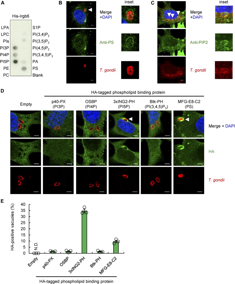 Figure 4.