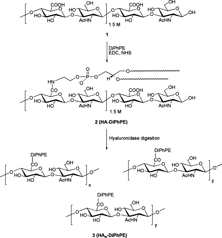 Scheme 1