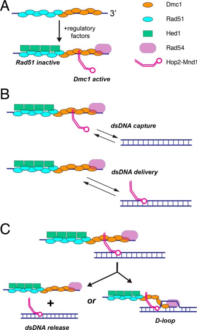 Figure 7.