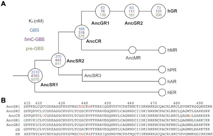 Figure 6.