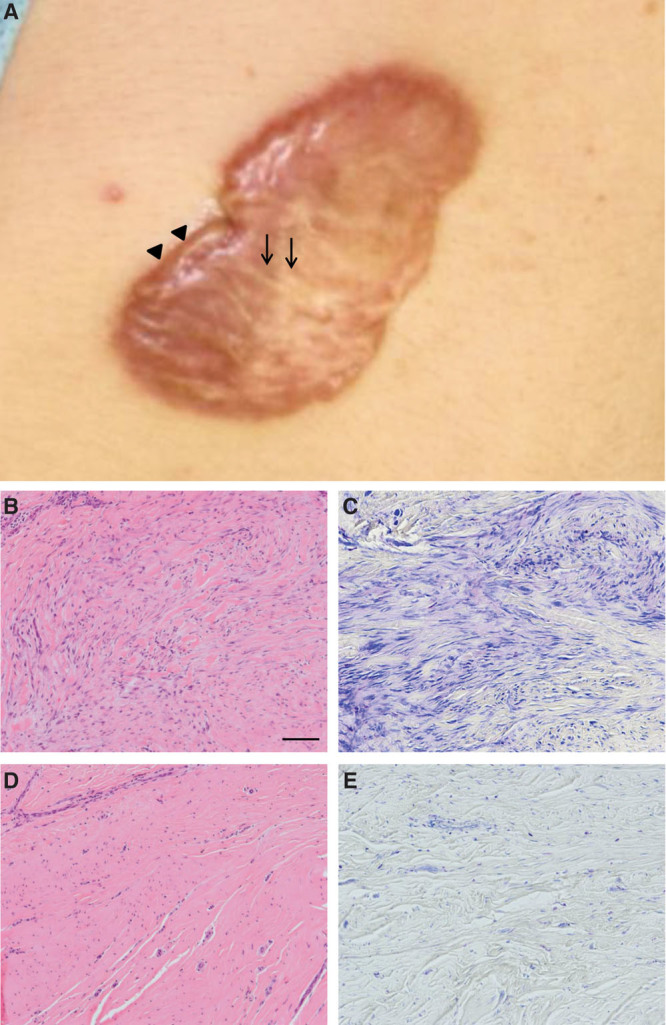 Fig. 4.