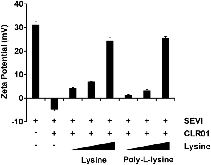 Figure 4—figure supplement 1.