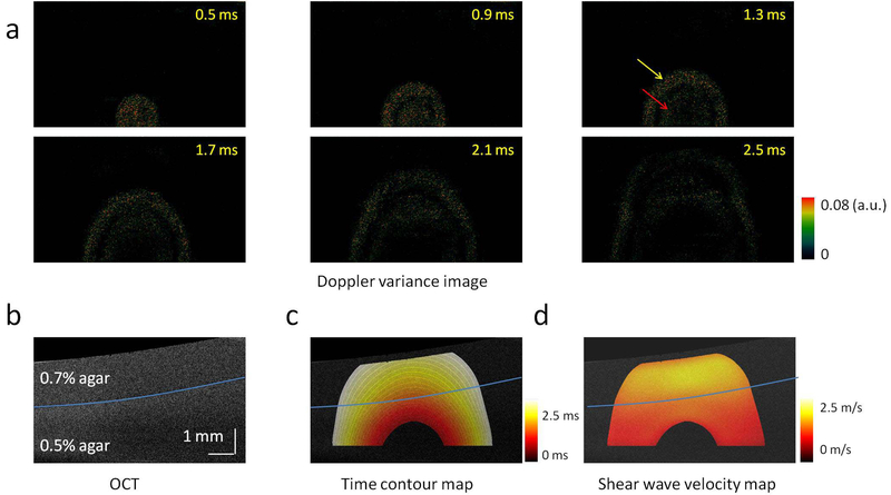 Figure 3.