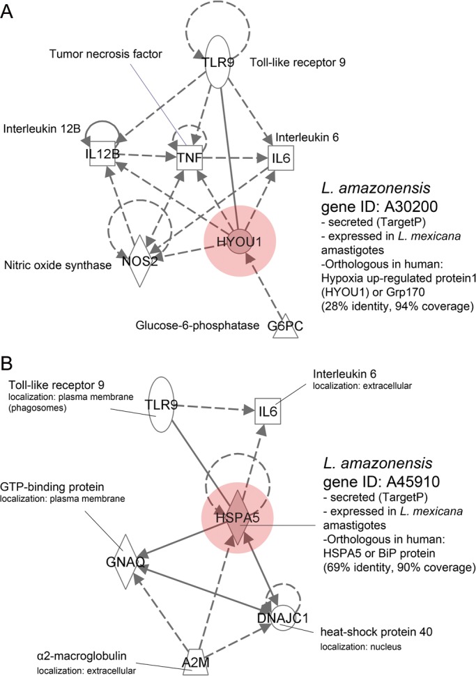 Figure 5.