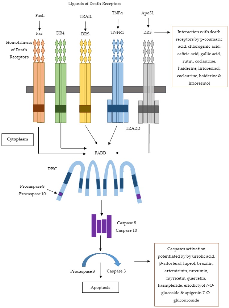 Figure 13