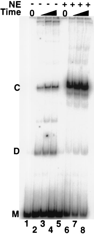 FIG. 6