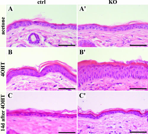 FIG. 9.
