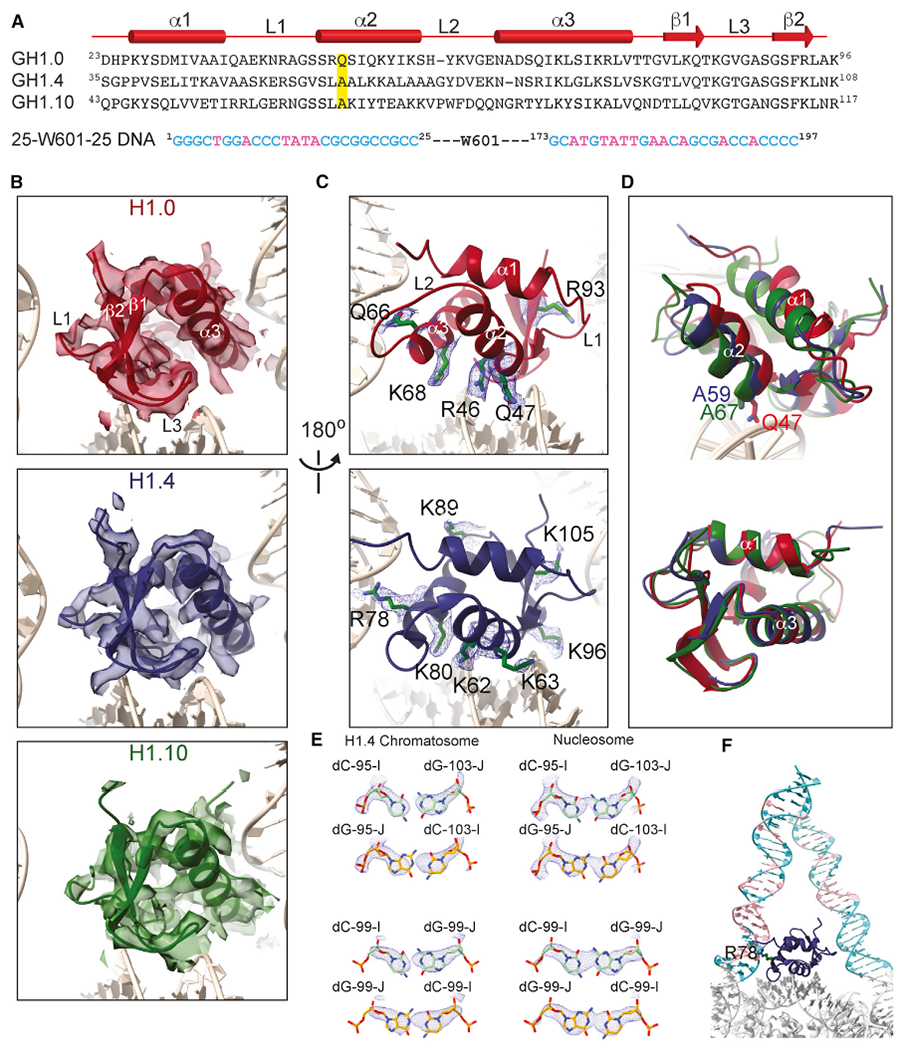 Figure 2.