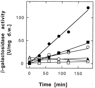 FIG. 5