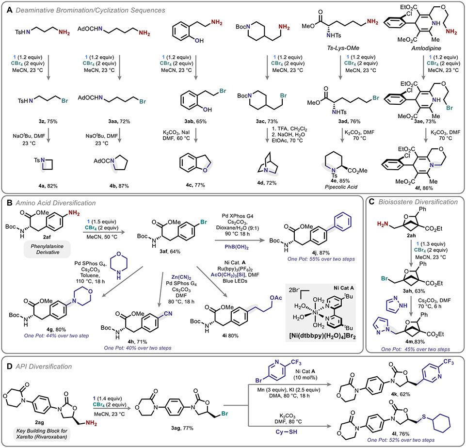 Direct Deaminative Functionalization - PMC