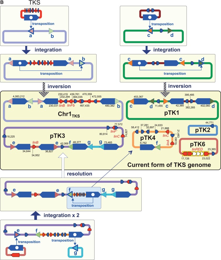 Figure 6