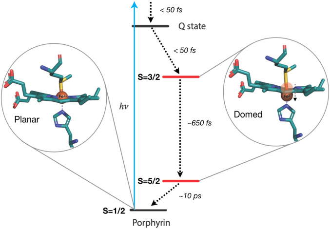 Fig. 6.