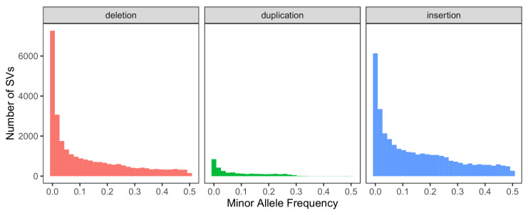 Figure 1—figure supplement 5.