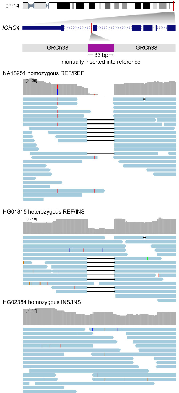 Figure 4—figure supplement 1.