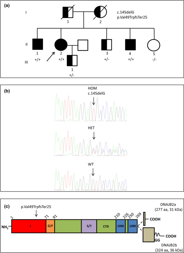 FIGURE 1