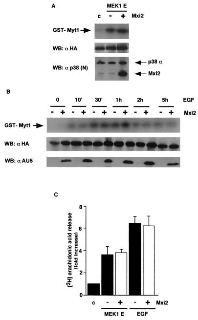 FIG. 9.