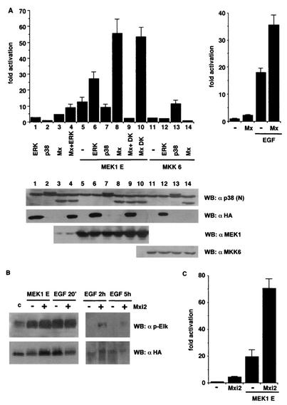 FIG. 8.