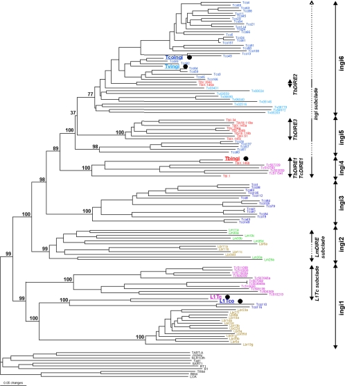 FIG. 3.