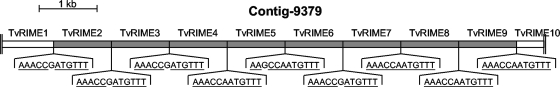 FIG. 5.