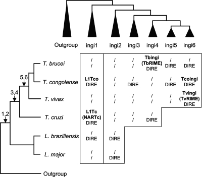 FIG. 9.