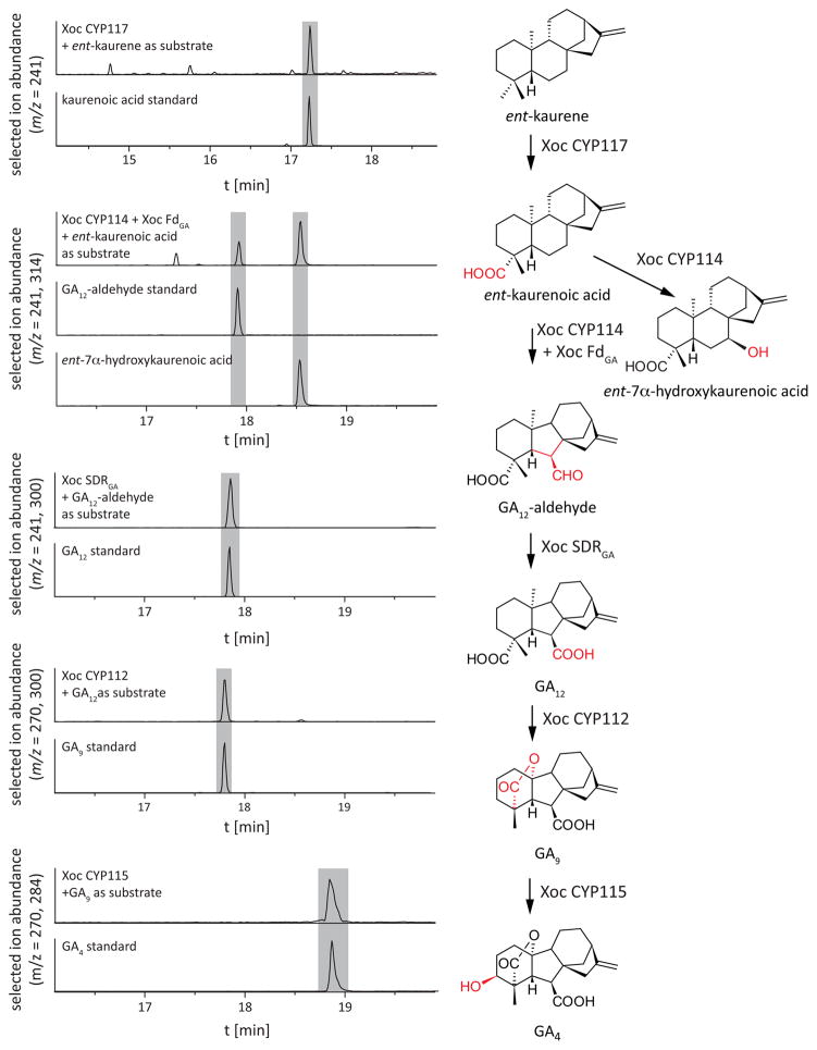 Fig. 2