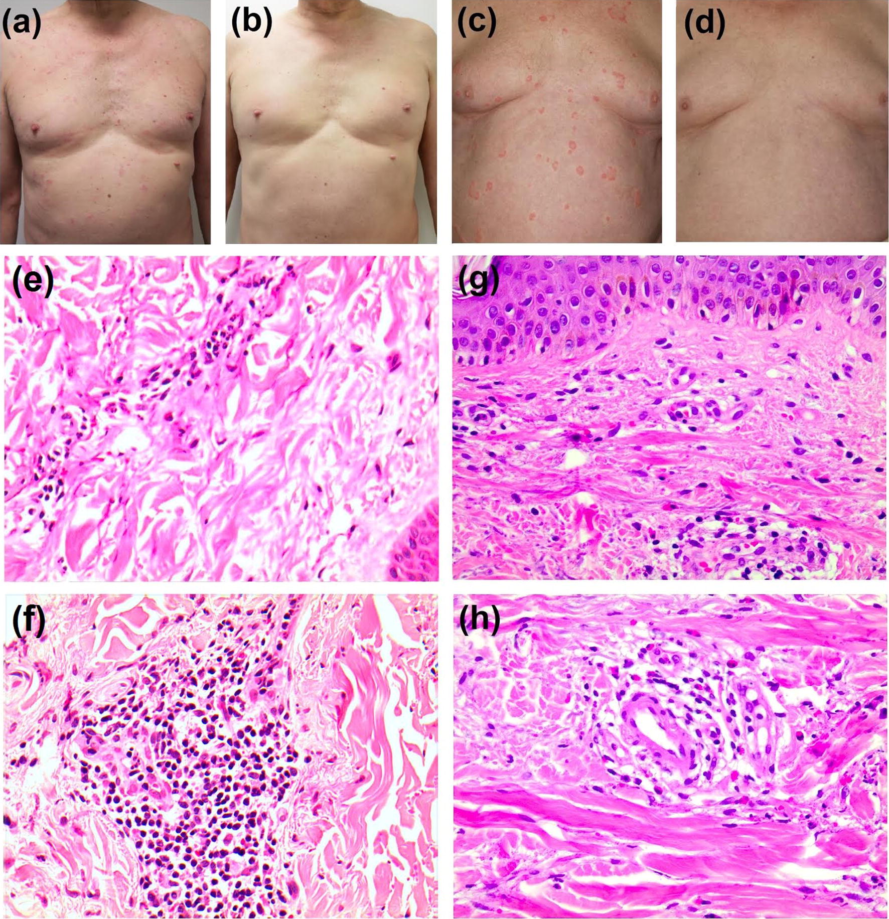 Fig. 1