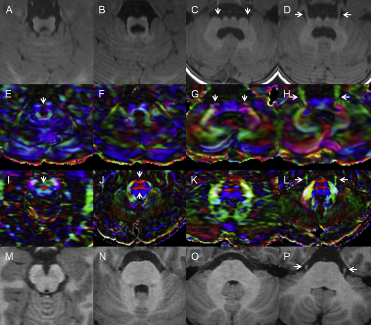 Figure 3