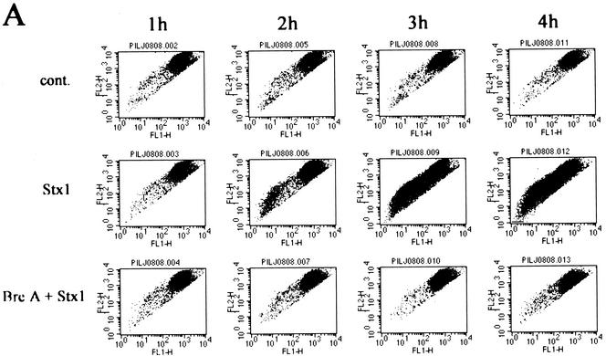 FIG. 4.