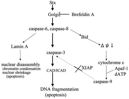 FIG. 10.