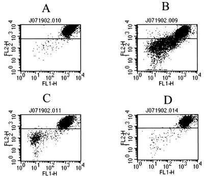 FIG. 8.