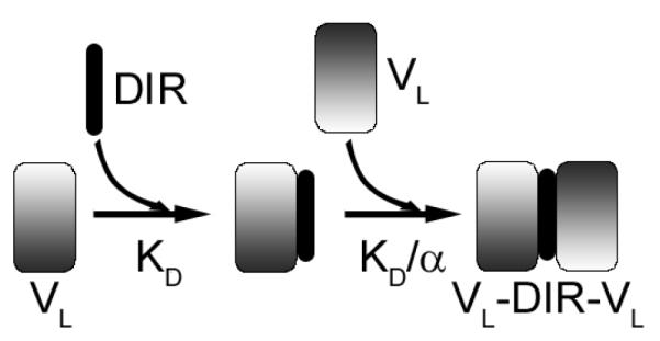 Scheme I