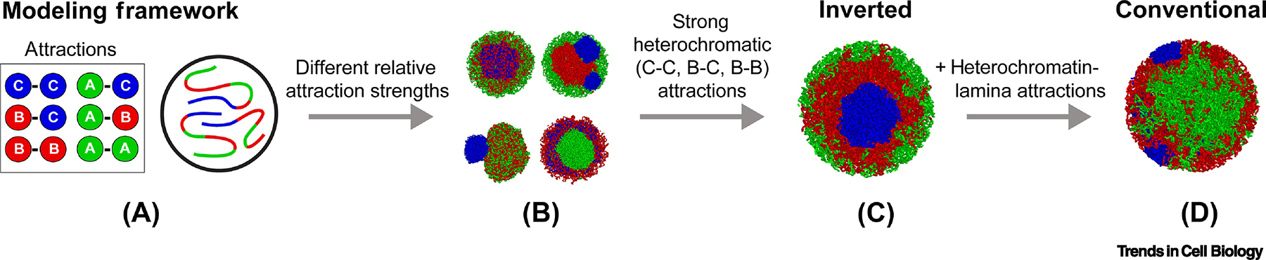 Figure 5.