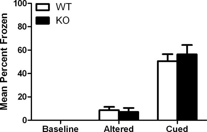 Figure 5.