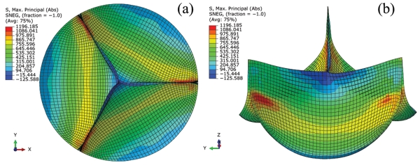 Figure 9