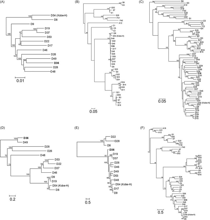 Fig. 8.