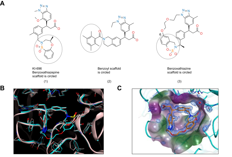 Fig. 1