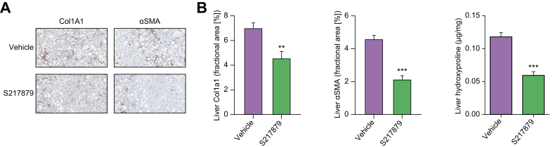 Fig. 6