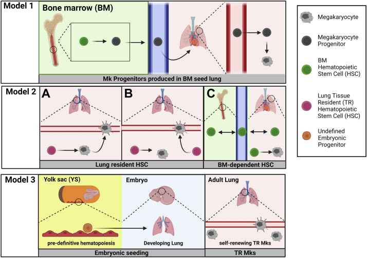 Figure 3