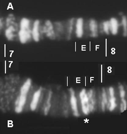 Figure 2.—