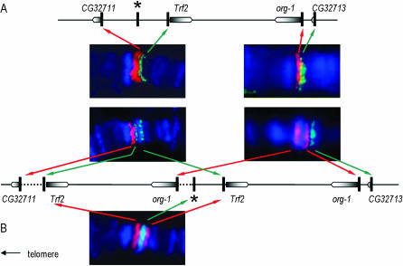 Figure 1.—