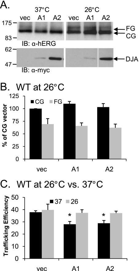 FIGURE 10.