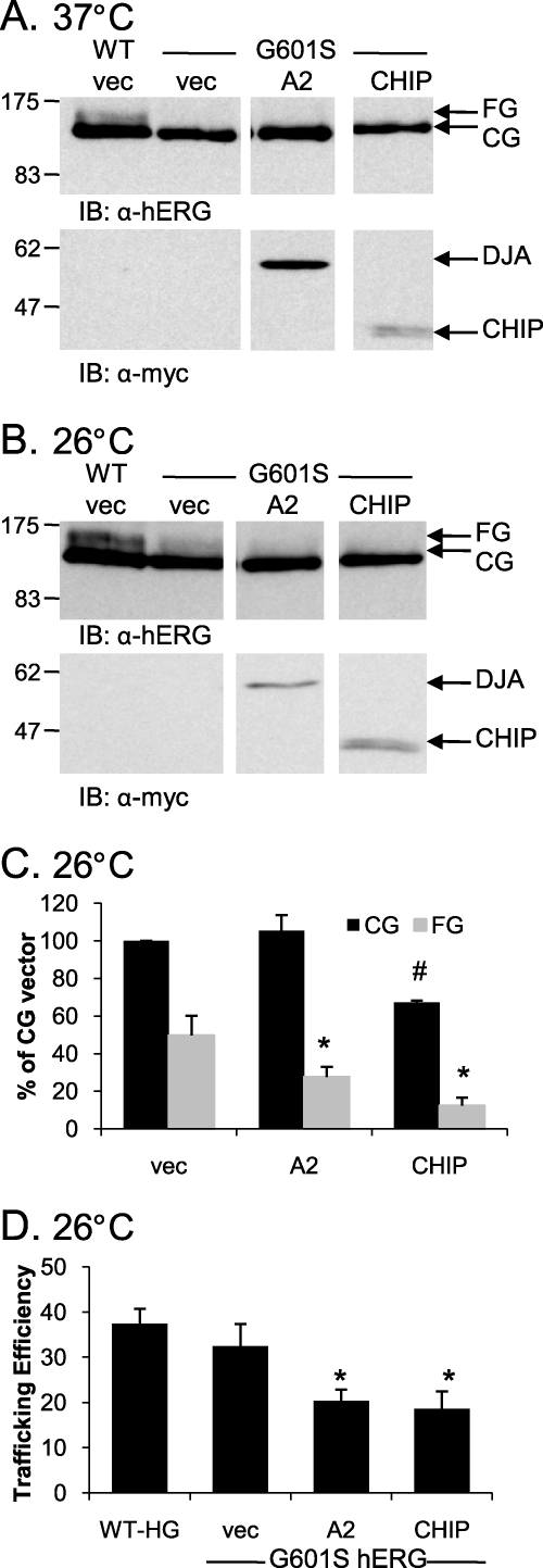 FIGURE 9.