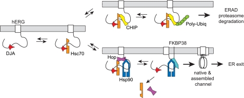 FIGURE 11.