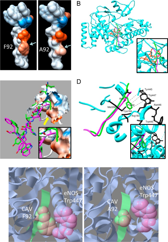 FIGURE 4.