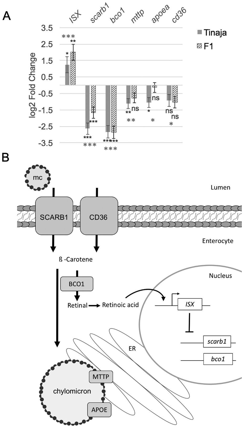 Figure 6.