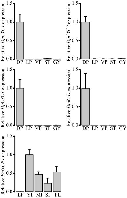 Fig. 3.