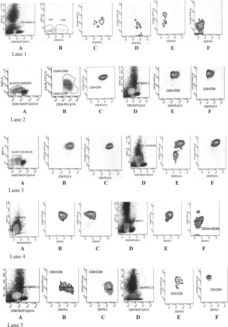 Fig. 1